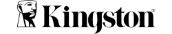 kingston